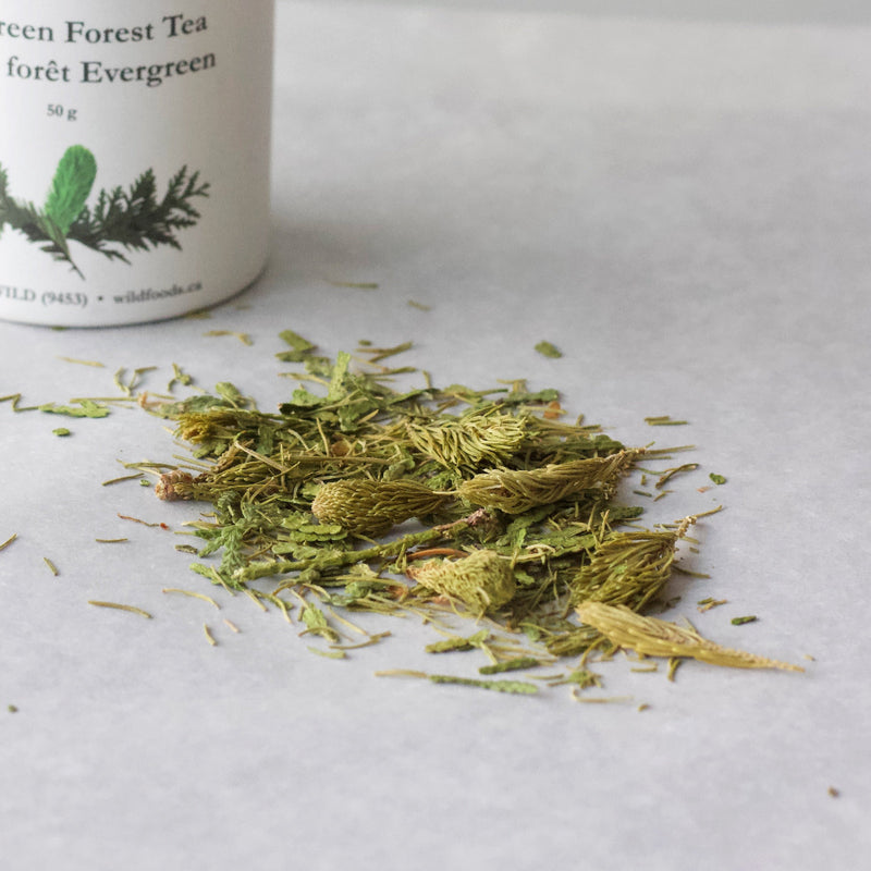 Evergreen Forest Tea